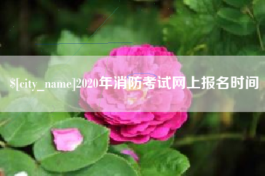 桐城2020年消防考试网上报名时间