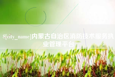 桐城内蒙古自治区消防技术服务执业管理平台