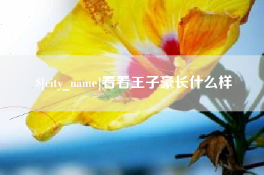 桐城看看王子豪长什么样