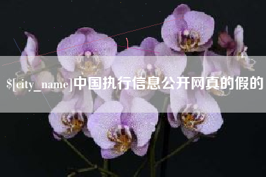 桐城中国执行信息公开网真的假的