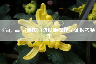桐城重庆消防设施操作员证报考条件