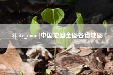 桐城中国地图全图各省地图