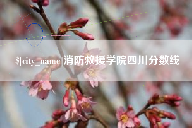 桐城消防救援学院四川分数线