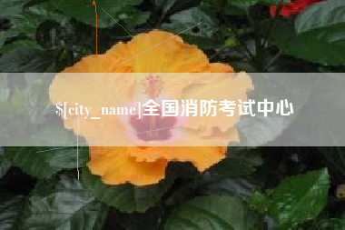 桐城全国消防考试中心