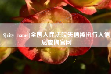 桐城全国人民法院失信被执行人信息查询官网