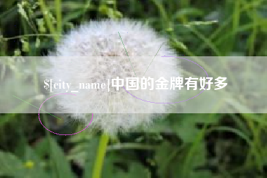 桐城中国的金牌有好多