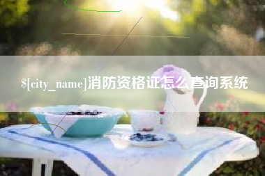 桐城消防资格证怎么查询系统