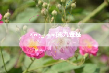 桐城第九金是