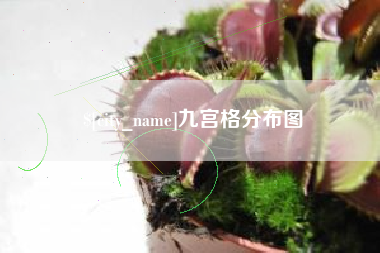 桐城九宫格分布图