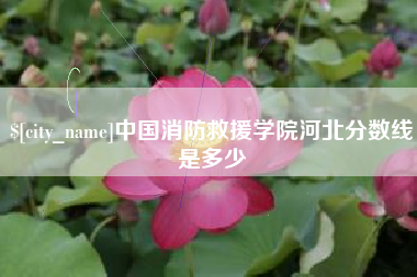 桐城中国消防救援学院河北分数线是多少