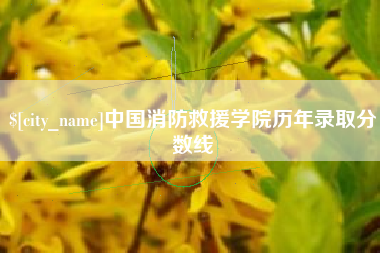 桐城中国消防救援学院历年录取分数线