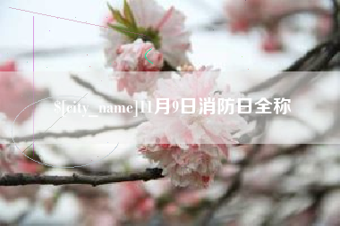 桐城11月9日消防日全称
