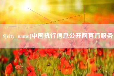 桐城中国执行信息公开网官方服务