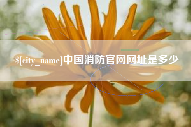 桐城中国消防官网网址是多少