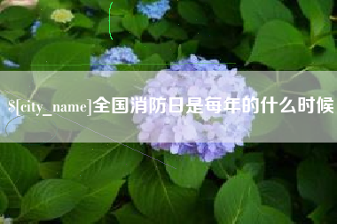 桐城全国消防日是每年的什么时候