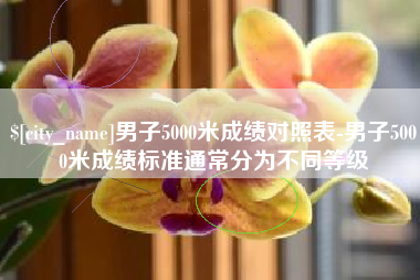 桐城男子5000米成绩对照表-男子5000米成绩标准通常分为不同等级
