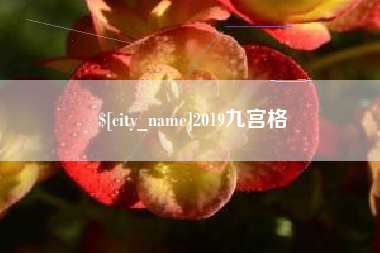 桐城2019九宫格