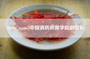 桐城中国消防救援学院副院长