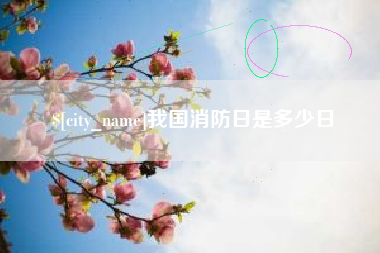 桐城我国消防日是多少日