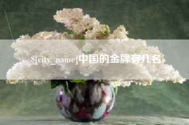 桐城中国的金牌有几名