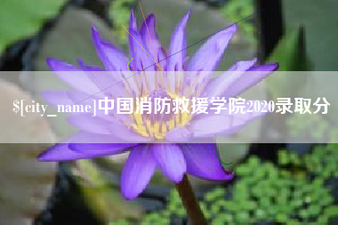 桐城中国消防救援学院2020录取分