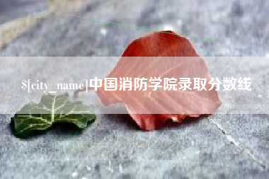 桐城中国消防学院录取分数线