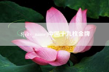 桐城中国十九枚金牌