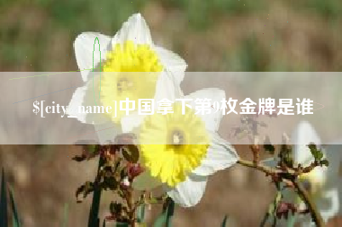 桐城中国拿下第9枚金牌是谁