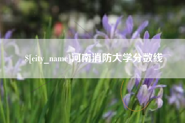 桐城河南消防大学分数线