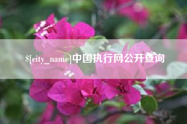 桐城中国执行网公开查询
