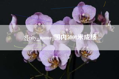 桐城国内5000米成绩