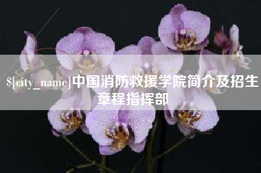 桐城中国消防救援学院简介及招生章程指挥部