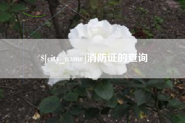 桐城消防证的查询