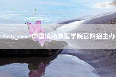 桐城中国消防救援学院官网招生办