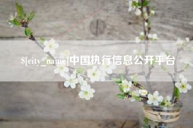 桐城中国执行信息公开平台