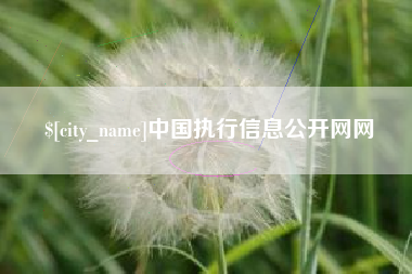 桐城中国执行信息公开网网
