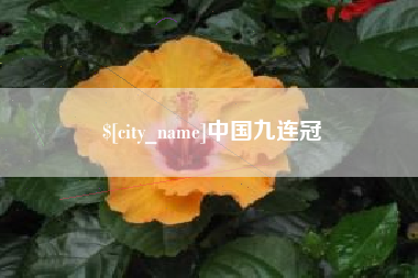 桐城中国九连冠