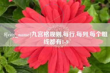 桐城九宫格规则,每行,每列,每个粗线都有1-9