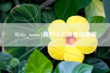 桐城消防证初级查询系统