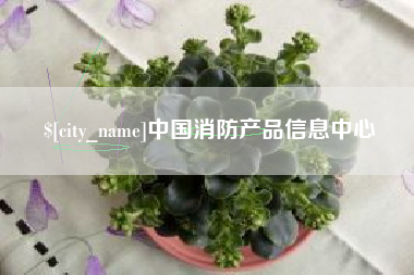 桐城中国消防产品信息中心