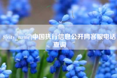 桐城中国执行信息公开网客服电话查询