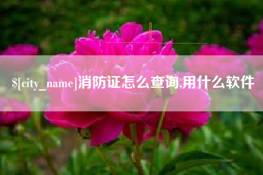 桐城消防证怎么查询,用什么软件