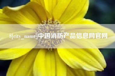 桐城中国消防产品信息网官网