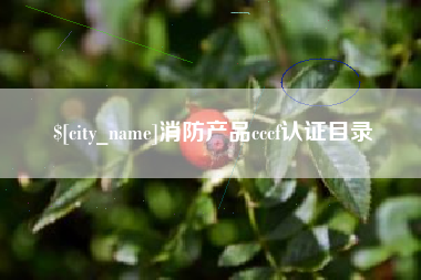桐城消防产品cccf认证目录
