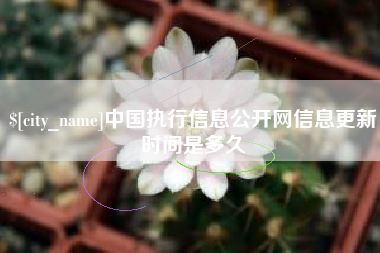 桐城中国执行信息公开网信息更新时间是多久
