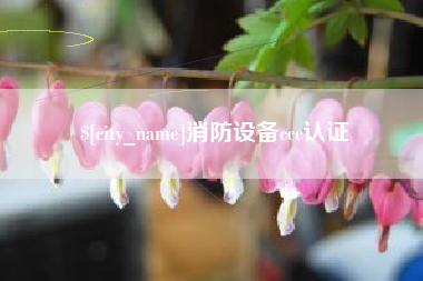 桐城消防设备ccc认证