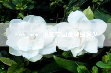 桐城现在中国金牌是多少