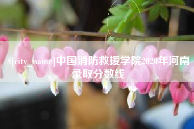 桐城中国消防救援学院2020年河南录取分数线