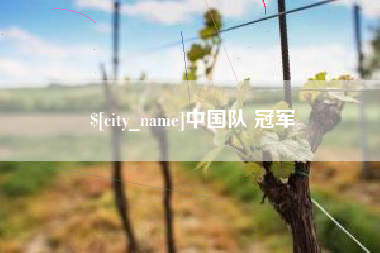 桐城中国队 冠军