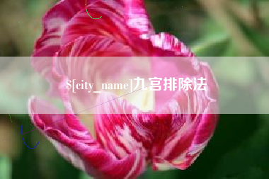 桐城九宫排除法
